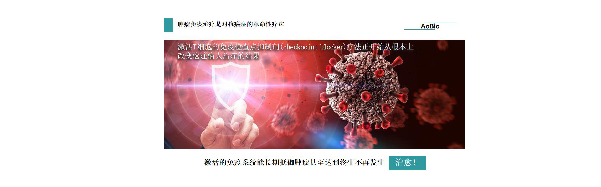 广告标题